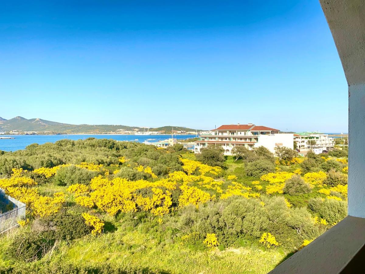 Homey Experience - Navy Sea View Apartments Olbia Exteriör bild